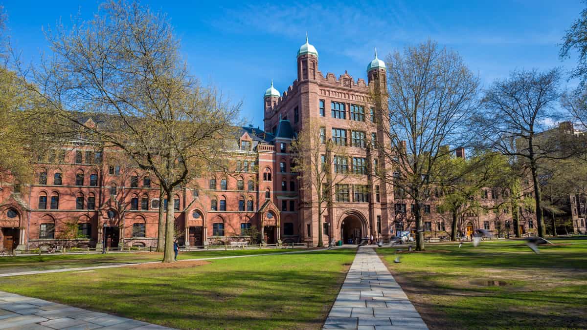 How To Get Into Yale: Admission Requirements + Top Tips