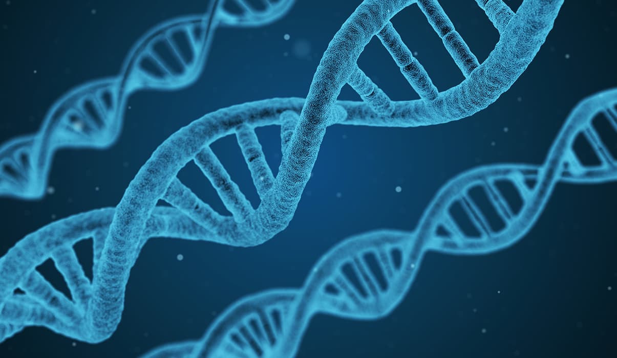 What Can You Do With A Biomedical Engineering Degree?