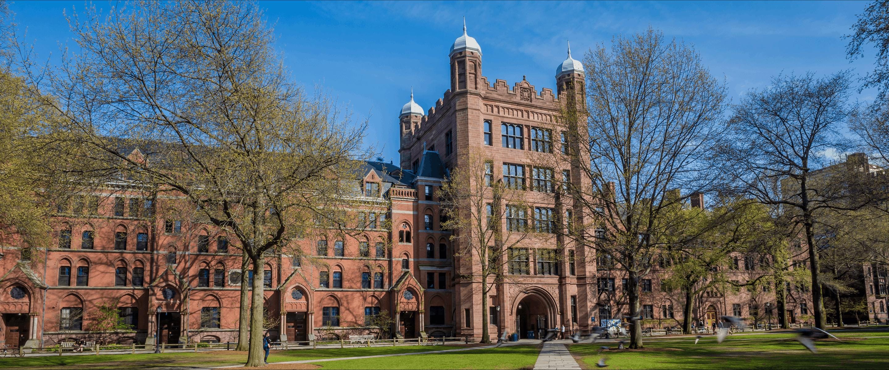 yale2_desktop_1440